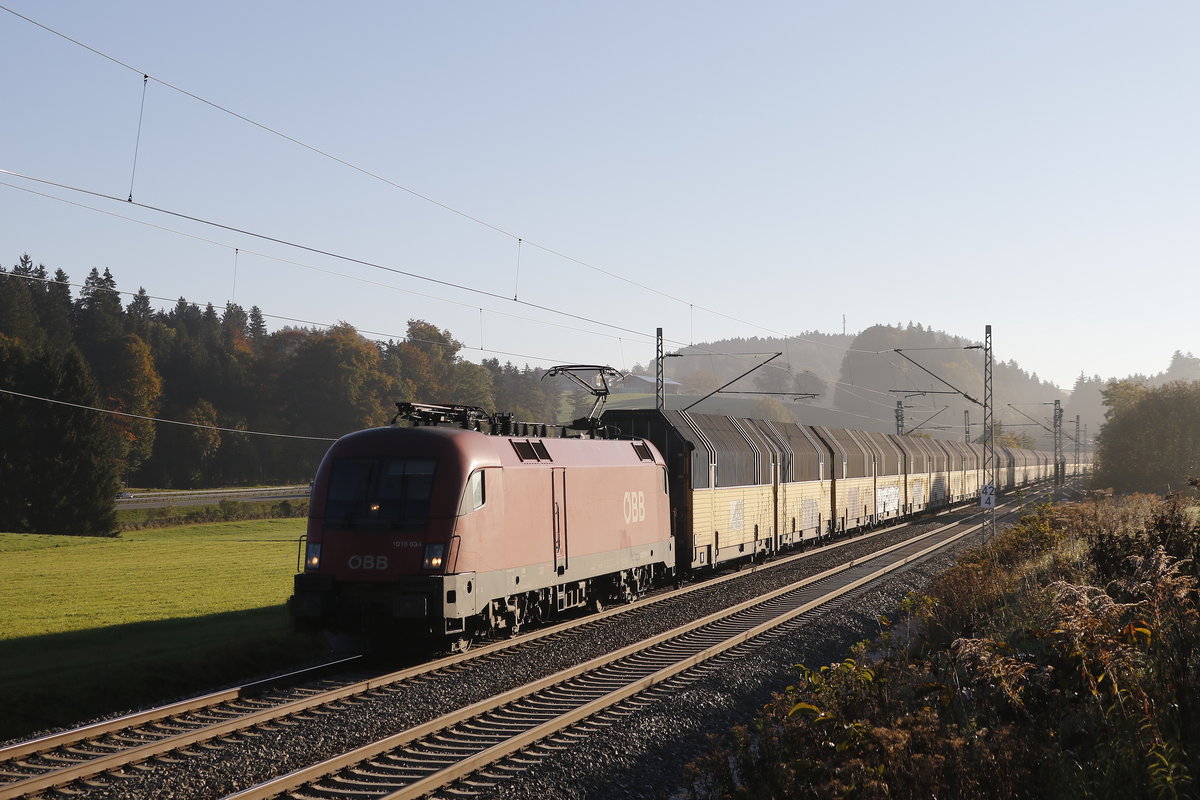 1016 004 mit einem Autozug am 10. Oktober 2018 bei Grabensttt.