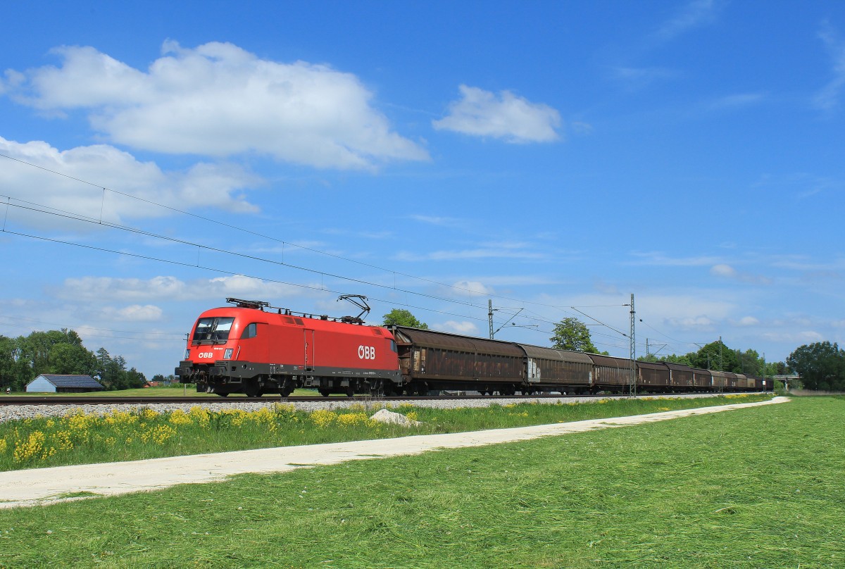 1016 017-4 mit einem Güterzug aus Salzburg am 14. Mai 2013 bei Übersee.