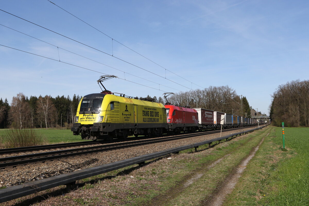 1016 020  Profis am Werk  und 1116 171 mit einem  KLV  aus Mnchen kommend am 20. Mrz 2024 bei Brannenburg im Inntal.