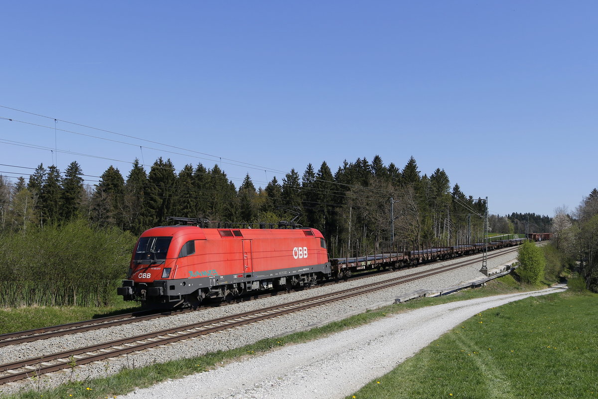 1116 077  Christof  mit einem Stahlzug aus Freilassing kommend am 19. April 2019 bei Grabensttt.