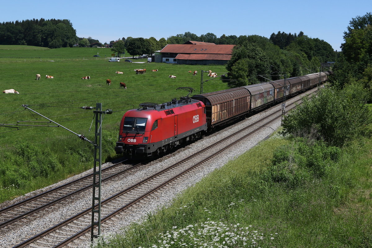1116 105 mit einem gemischten Gterzug aus Salzburg kommend am 12. Juni 2020 kurz nach Bad Endorf.