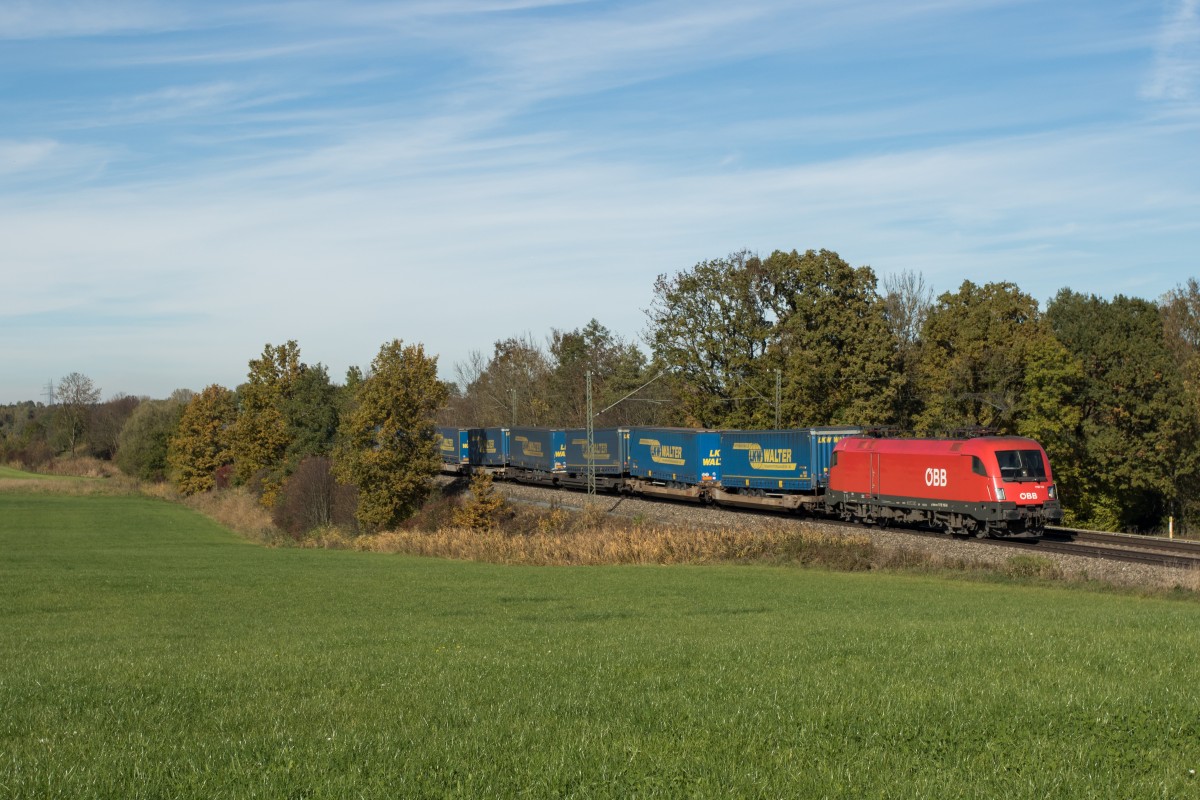 1116 119-1 mit dem  Walter-Zug  am 24. Oktober 2015 bei Hilperting.