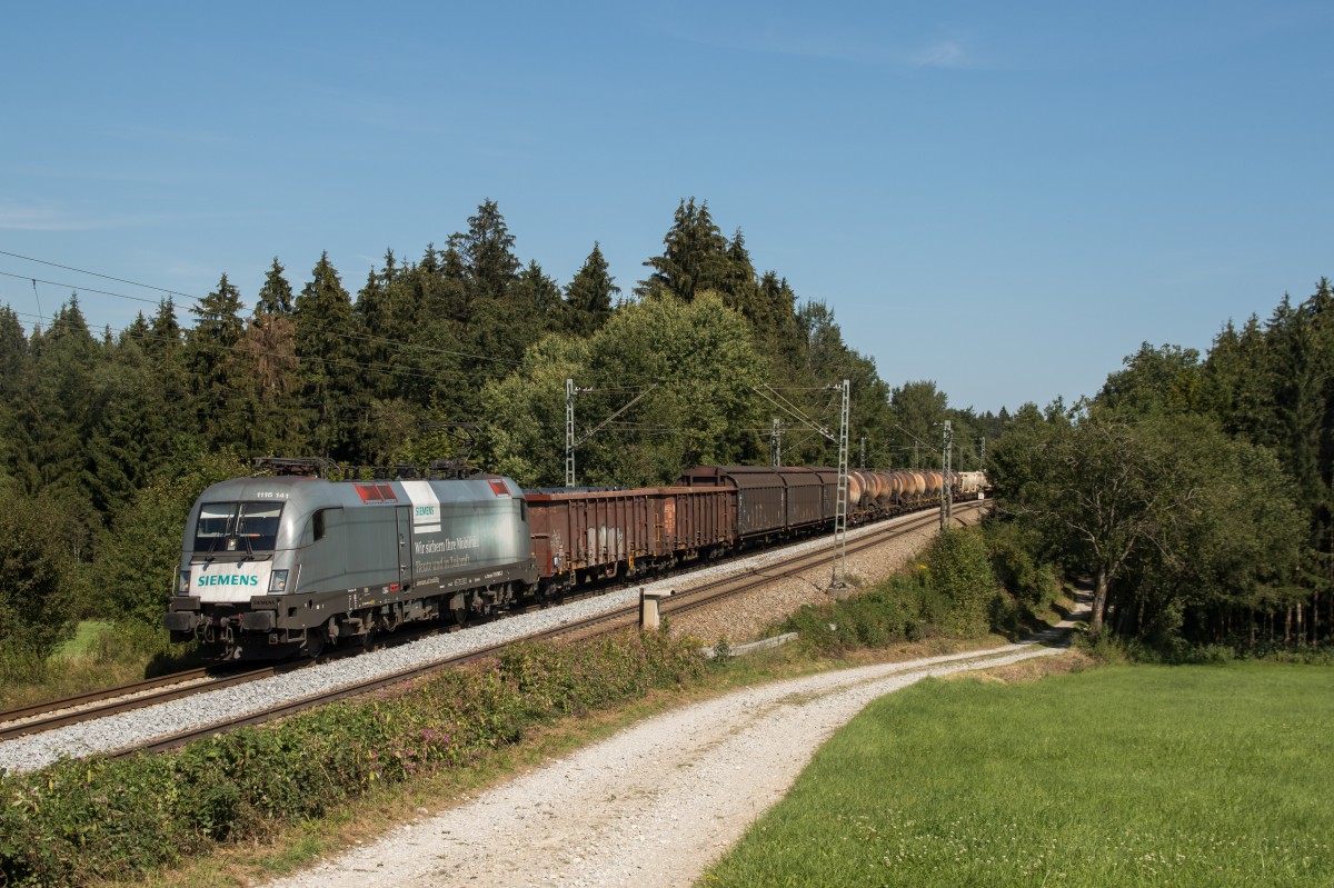 1116 141  Siemens  mit einem Gterzug aus Salzburg kommend am 12. September 2015 bei Grabensttt.