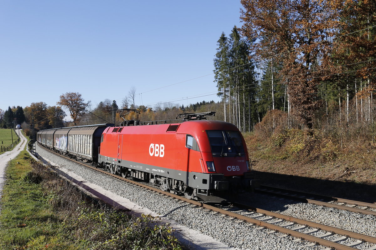 1116 150 war am 10. November 2018 bei Grabensttt mit einem Gterzug in Richtung Salzburg unterwegs.