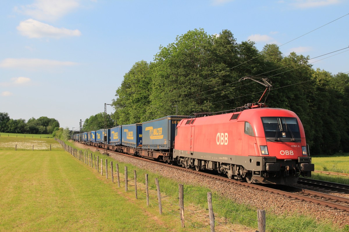 1116 180-1 mit dem  Walter-Zug  am 24. Mai 2014 bei Vogl.
