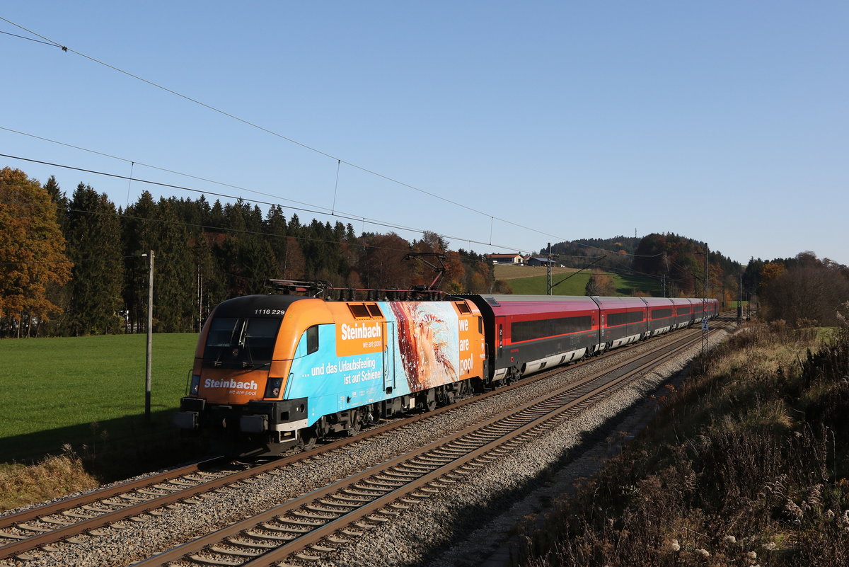 1116 229  Steinbach  mit einem  Railjet  auf dem Weg nach Innsbruck. Aufgenommen am 9. November 2020 bei Grabensttt.
