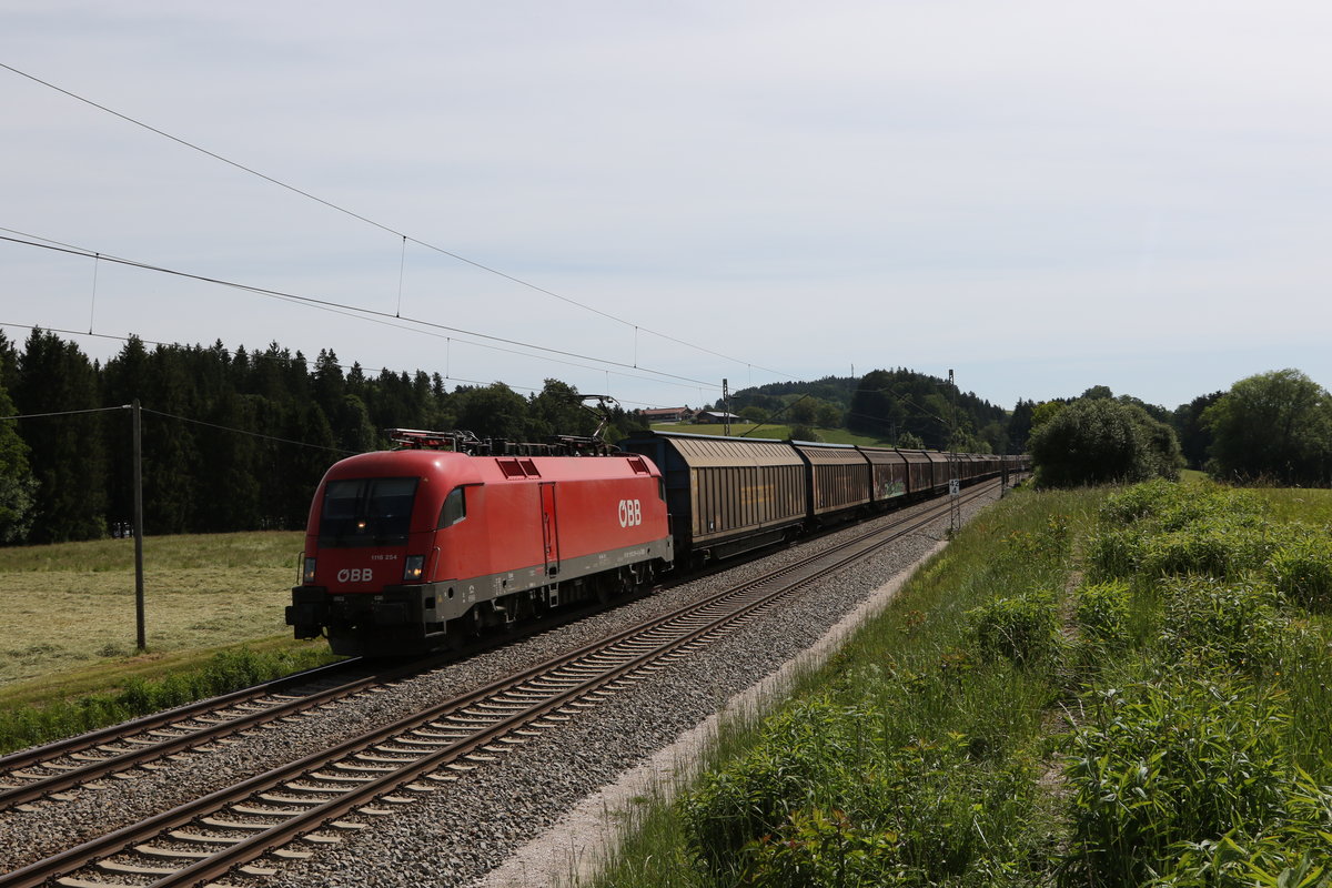 1116 254 mit dem  Audi-Zug  am 3. Juni 2020 bei Grabensttt im Chiemgau.