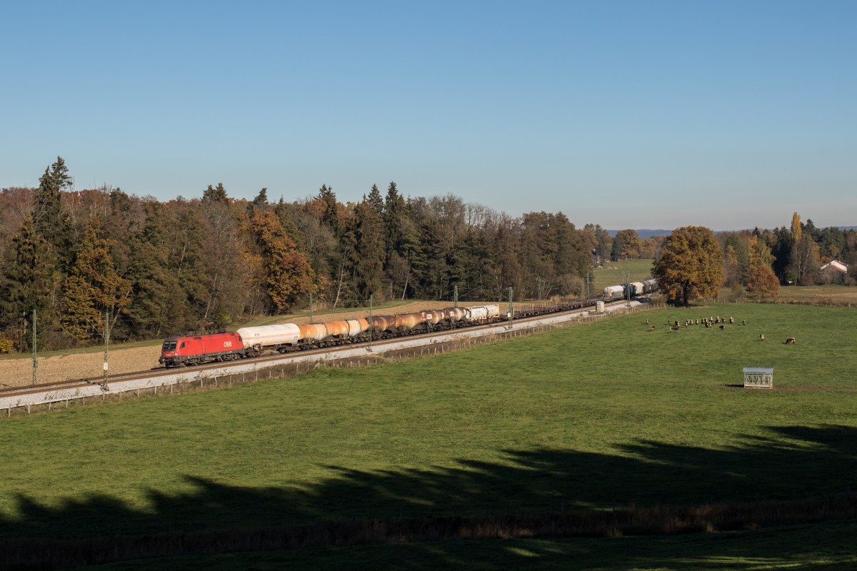 1116 254 mit einem gemischten Gterzug am 3. November 2015 bei Wessen.