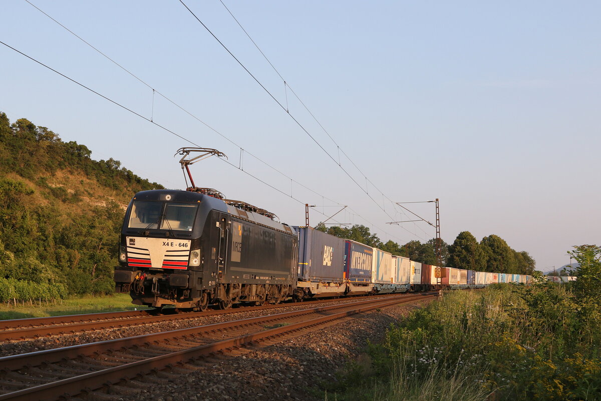 193 646 mit einem  KLV  aus Wrzburg kommend am 23. Juli 2021 bei Himmelstadt am Main.