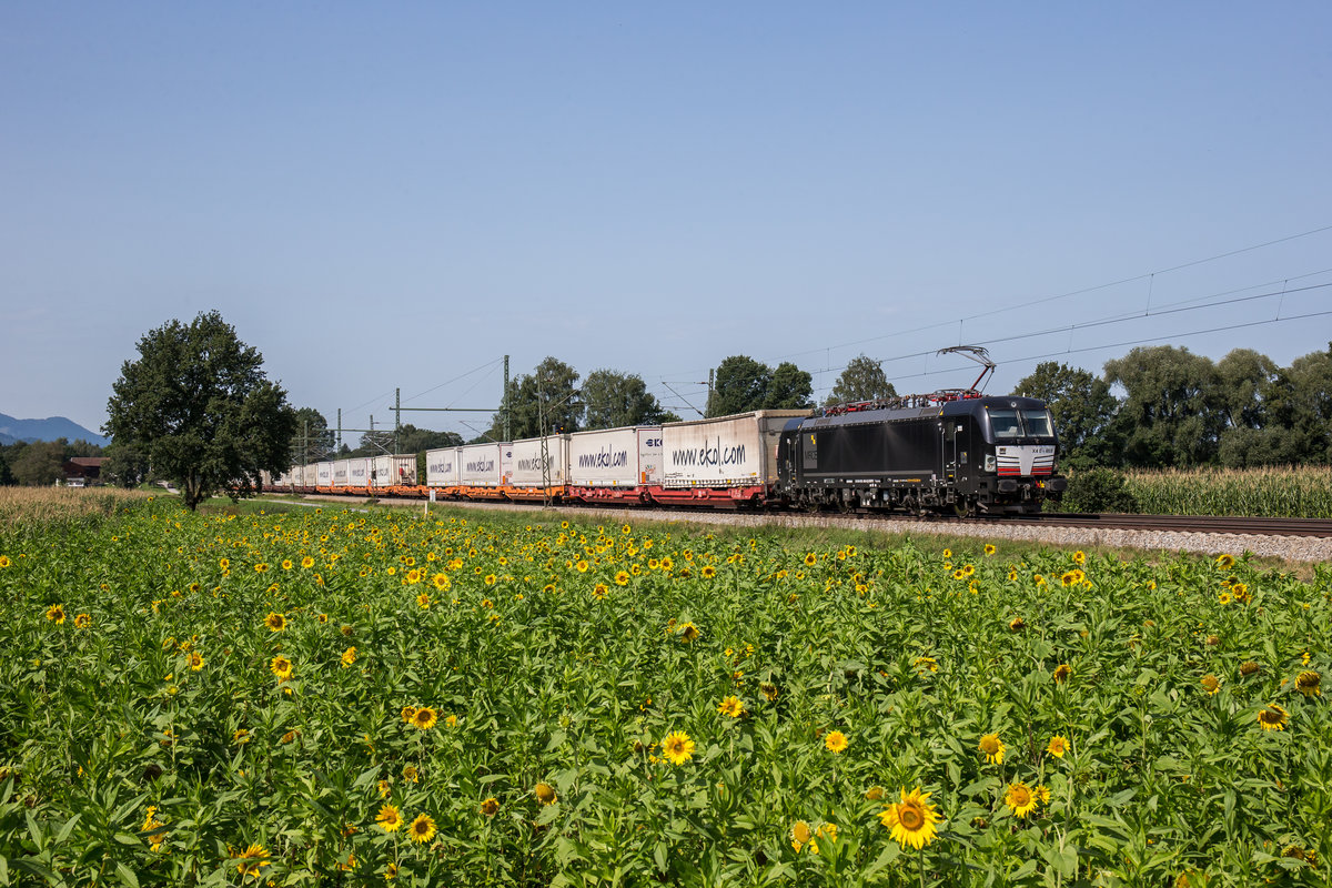 193 659 war am 26. August 2017 mit dem  Ekol -Zug bei bersee in Richtung Salzburg unterwegs.