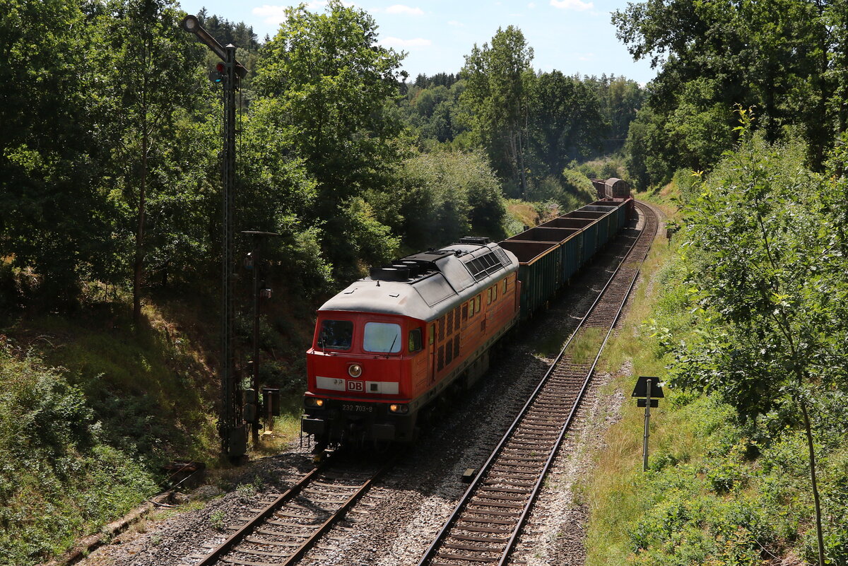 232 703 mit einem  Mischer  am 3. August 2022 kurz vor Reuth bei Erbendorf in der Oberpfalz.