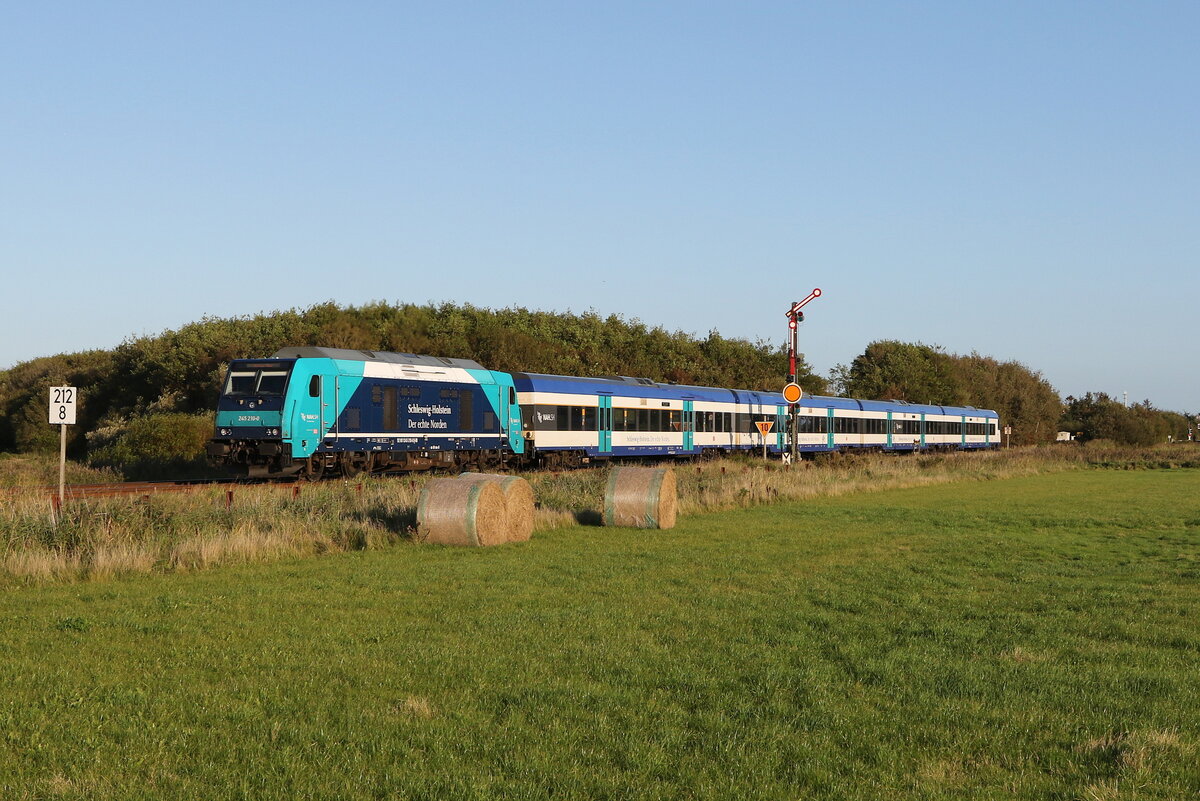 245 210 fuhr am 13. September 2023 bei Klanxbll in Richtung Westerland.