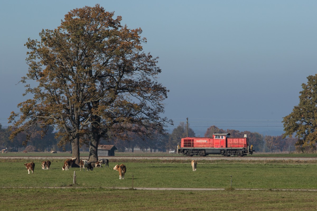 294 769-7 aus Freilassing kommend am 31. Oktober 2015 bei bersee.