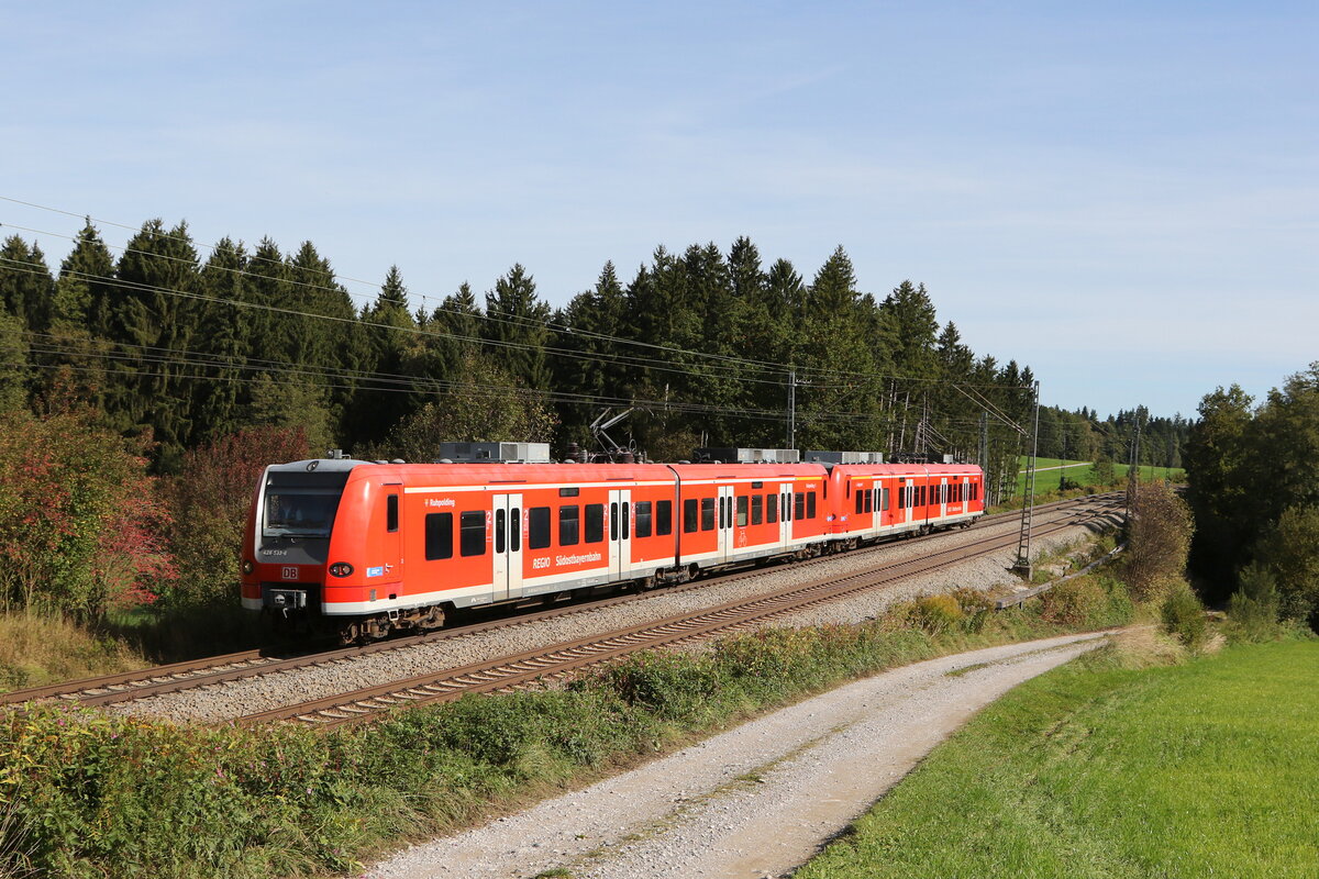 426 033  Ruhpolding  & 426 030  Siegsdorf  auf dem Weg nach Mnchen am 1. Oktober 2021 bei Grabensttt.