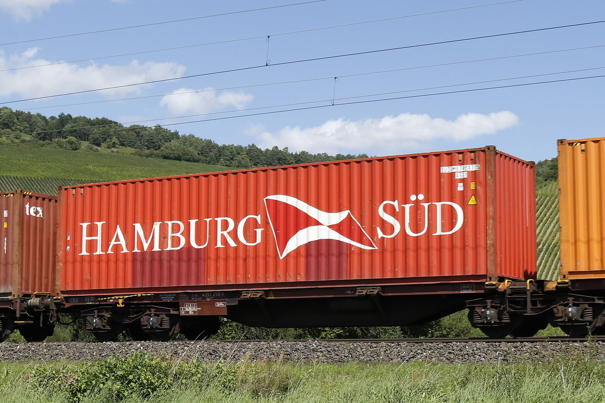 4951 256-9 mit einem  HAMBURG-SD -Container am 19. August 2017 bei Thngersheim.