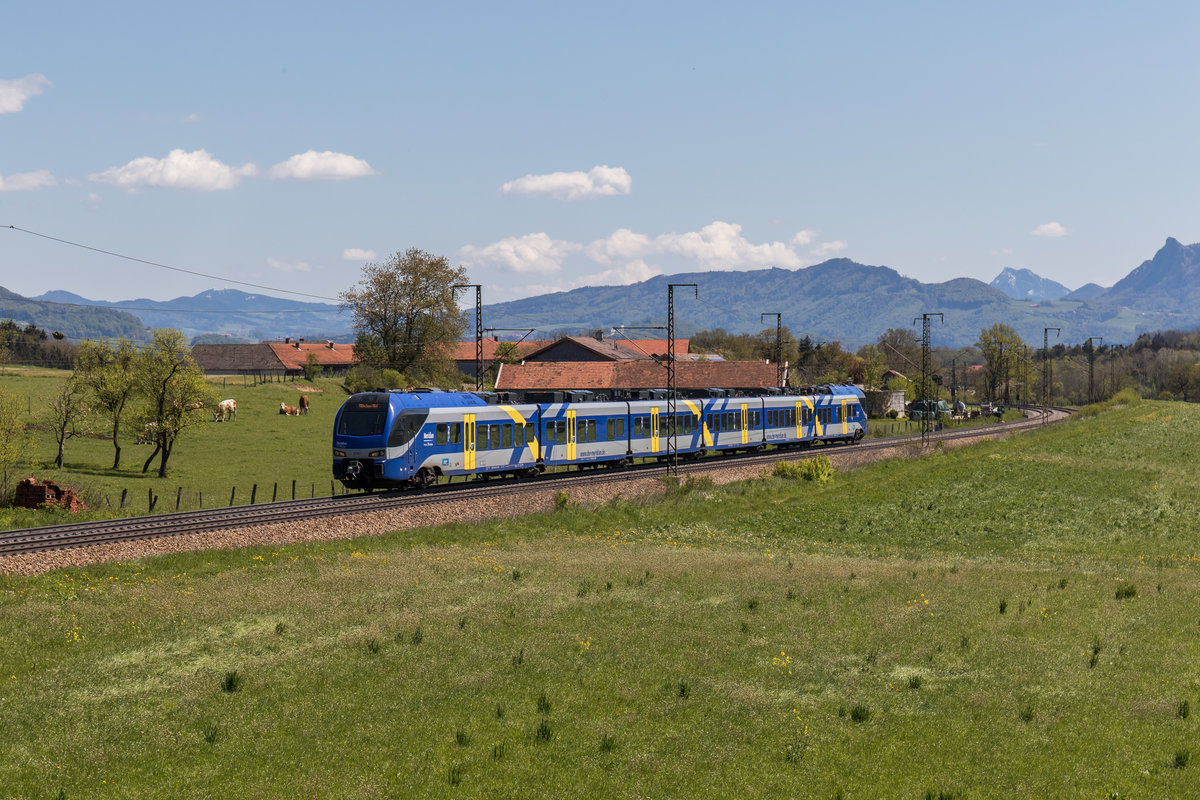 ET 303 war am 29. April 2016 bei Stra von Freilassing nach Mnchen unterwegs.