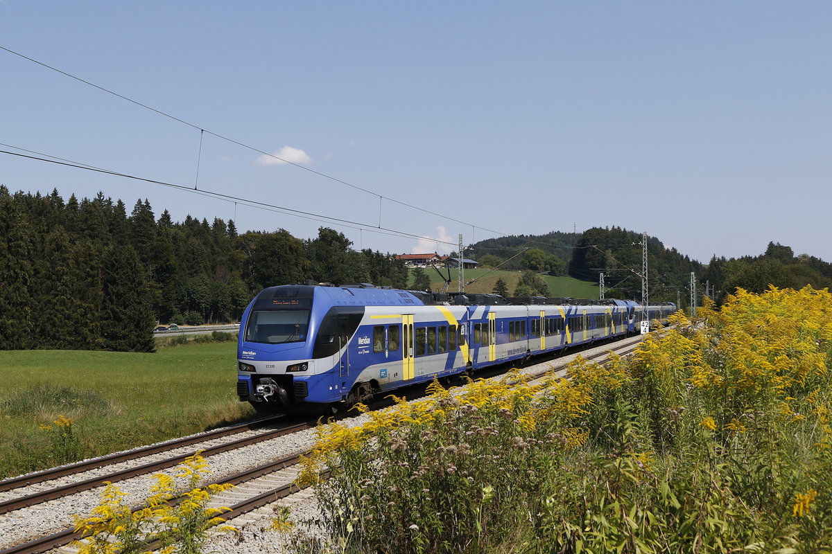 ET 319 auf dem Weg von Salzburg nach Mnchen. Aufgenommen am 19. August 2018 bei Grabenstt.