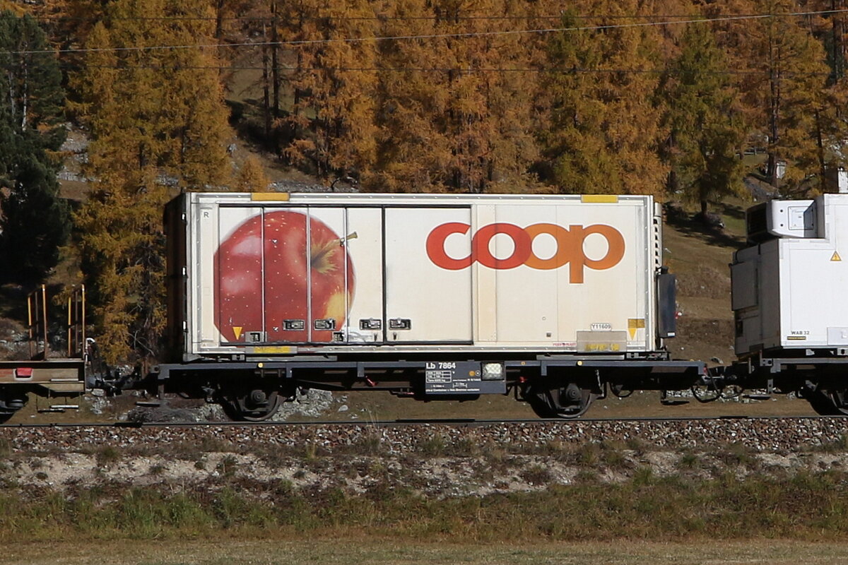 Lb 7864 mit einem  COOP -Container am 26. Oktober 2021 bei Bever.