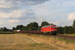 BR 233/783746/233-319-mit-einem-gemischten-gueterzug 233 319 mit einem gemischten Gterzug am 2. August 2022 bei Weiden in der Oberpfalz.