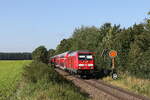 245 014 war am 3. September 2021 bei Hrlkofen in Richtung Mhldorf unterwegs.