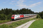 BR 101/710677/101-076-mit-dem-ic-koenigssee 101 076 mit dem 'IC Knigssee' aus Berchtesgaden kommend am 6. August 2020 bei Grabensttt.