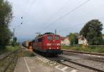 151 135-1 durchfhrt am 27. August 2013 den Bahnhof von Prien am Chiemsee.