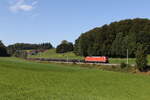 BR 152/864372/152-043-war-am-18-september 152 043 war am 18. September 2024 mit einem Stahlzug bei Axdorf auf dem Weg nach Freilassing.