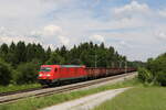 BR 185/736895/185-262-mit-dem-stahlzug-aus 185 262 mit dem Stahlzug aus Freilassing kommend am 8. Juni 2021 bei Grabensttt im Chiemgau.