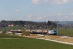 BR 185 private/693325/185-340-aus-dem-rheinland-nach 185 340 'Aus dem Rheinland nach Europa' von 'Rheincargo' mit einem Kesselwagenzug kurz vor Bernau am Chiemsee.