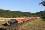 193 874 von  MRCE  mit einem Containerzug aus Gemnden am 8. August 2022 bei Harrbach am Main.