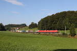 BR 193/865346/193-355-und-193-352-mit 193 355 und 193 352 mit einem 'KLV' aus Mnchen kommend am 19. September 2024 bei Axdorf.