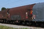 planenwagen/747186/4572-415-shimmns-am-11-august 4572 415 (Shimmns) am 11. August 2021 bei bersee am Chiemsee.