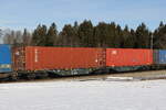 container-tragwagen/765307/4963-176-sggmrss-am-27-januar 4963 176 (Sggmrss) am 27. Januar 2022 bei Grabensttt.
