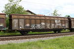 schiebewandwagen-2/697510/2459-294-hbbillns-am-4-mai 2459 294 (Hbbillns) am 4. Mai 2020 bei Grabensttt.