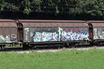 schiebewandwagen-2/826638/2454-026-am-6-september-2023 2454 026 am 6. September 2023 bei Axdorf.