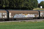 schiebewandwagen-2/829198/2743-556-habbiins-von-twa-am 2743 556 (Habbiins) von 'TWA' am 11. Oktober 2023 bei Axdorf.