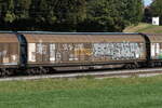 schiebewandwagen-2/829199/2743-290-habbiins-am-11-oktober 2743 290 (Habbiins) am 11. Oktober 2023 bei Axdorf.
