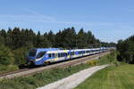 Bayerische Regiobahn/790116/430-020-430-015-und-430 430 020, 430 015 und 430 002 aus Freilassing kommend am 2. September 20222 bei Grabensttt.