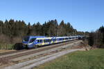 Bayerische Regiobahn/800322/430-013--430-002-waren 430 013 & 430 002 waren am 16. Januar 2023 bei Sossau in Richtung Mnchen unterwegs.