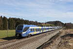 Bayerische Regiobahn/805507/430-017-und-430-006-auf 430 017 und 430 006 auf dem Weg nach Mnchen am 22. Februar 2023 bei Htt im Chiemgau.