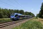 Bayerische Regiobahn/823363/430-314-aus-rosenheim-kommend-am 430 314 aus Rosenheim kommend am 14. Juni 2023 bei Brannenburg.