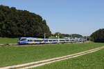 Bayerische Regiobahn/826836/430-005-auf-dem-weg-nach 430 005 auf dem Weg nach Mnchen am 10. September 2023 bei Axdorf.