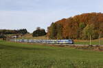 Bayerische Regiobahn/832235/430-022-auf-dem-weg-nach 430 022 auf dem Weg nach Freilassing am 9. November 2023 bei Axdorf.