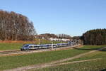 Bayerische Regiobahn/834767/430-013-aus-freilassing-kommend-am 430 013 aus Freilassing kommend am 18. Dezember 2023 bei Axdorf im Chiemgau.