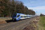Bayerische Regiobahn/844497/430-028-und-430-025-auf 430 028 und 430 025 auf dem Weg nach Mnchen am 24. Februar 2024 bei Hufschlag.
