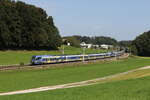 Bayerische Regiobahn/862936/430-020-und-430-004-aus 430 020 und 430 004 aus Salzburg kommend am 4. September 2024 bei Axdorf.