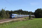 Bayerische Regiobahn/863528/430-002-war-am-7-september 430 002 war am 7. September 2024 bei Lauter auf dem Weg Mnchen unterwegs.