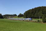 Bayerische Regiobahn/864243/430-001-und-430-027-waren 430 001 und 430 027 waren am 18. September 2024 bei Axdorf in Richtung Salzburg unterwegs.