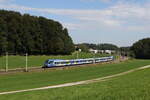 Bayerische Regiobahn/864617/430-022-war-am-18-september 430 022 war am 18. September 2024 als 'Verstrker' zwischen Rosenheim und Traunstein im Einsatz, aufgenommen bei Axdorf.