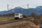 186 441-2 alleine im Chiemgau unterwegs. Aufgenommen am 12. Februar 2016 bei Bernau am Chiemsee.